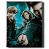 Malowanie Po Numerach Zestaw Harry Potter i inni 40x50